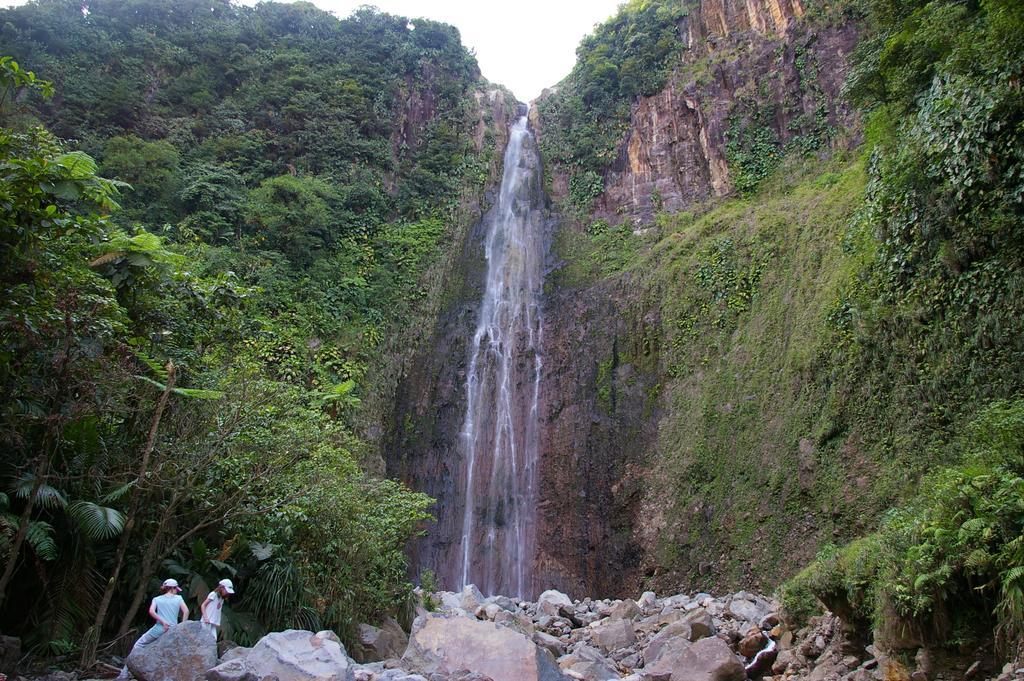 Kaz Creole Aventure Tropicale Insolite, Fibre, Jardin Et Jacuzzi Prives Saint-Francois  Exteriér fotografie