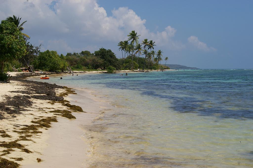 Kaz Creole Aventure Tropicale Insolite, Fibre, Jardin Et Jacuzzi Prives Saint-Francois  Exteriér fotografie