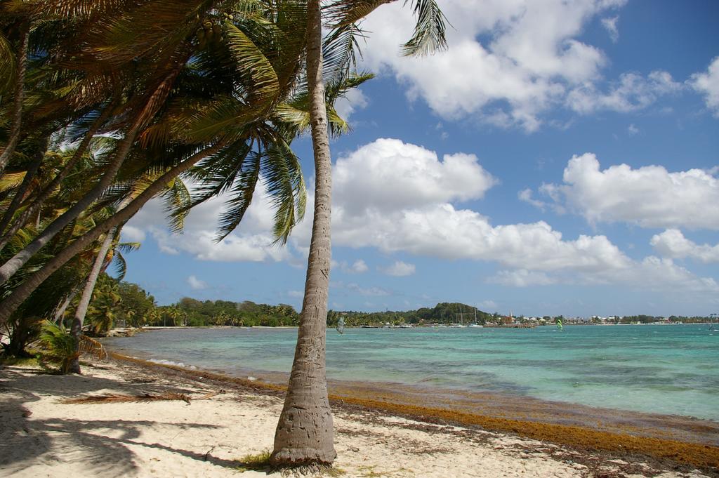 Kaz Creole Aventure Tropicale Insolite, Fibre, Jardin Et Jacuzzi Prives Saint-Francois  Exteriér fotografie