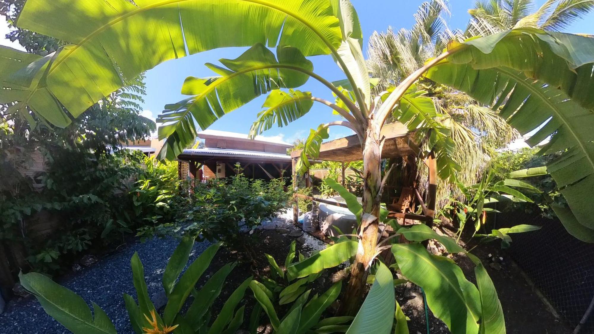 Kaz Creole Aventure Tropicale Insolite, Fibre, Jardin Et Jacuzzi Prives Saint-Francois  Exteriér fotografie